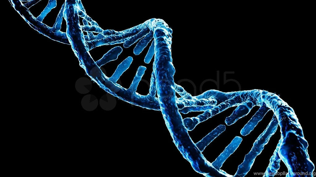 HD Quality Cool DNA Desktop Wallpapers 13   SiWallpapers 11438
