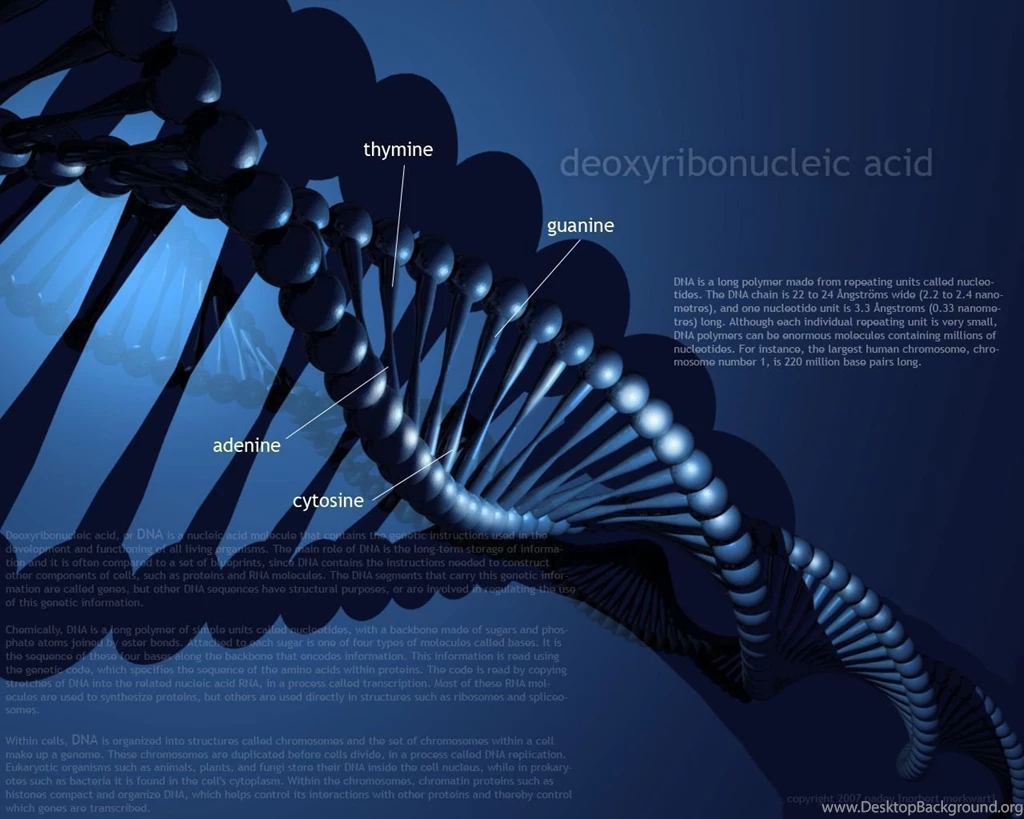 DNA By Padey89 On DeviantArt