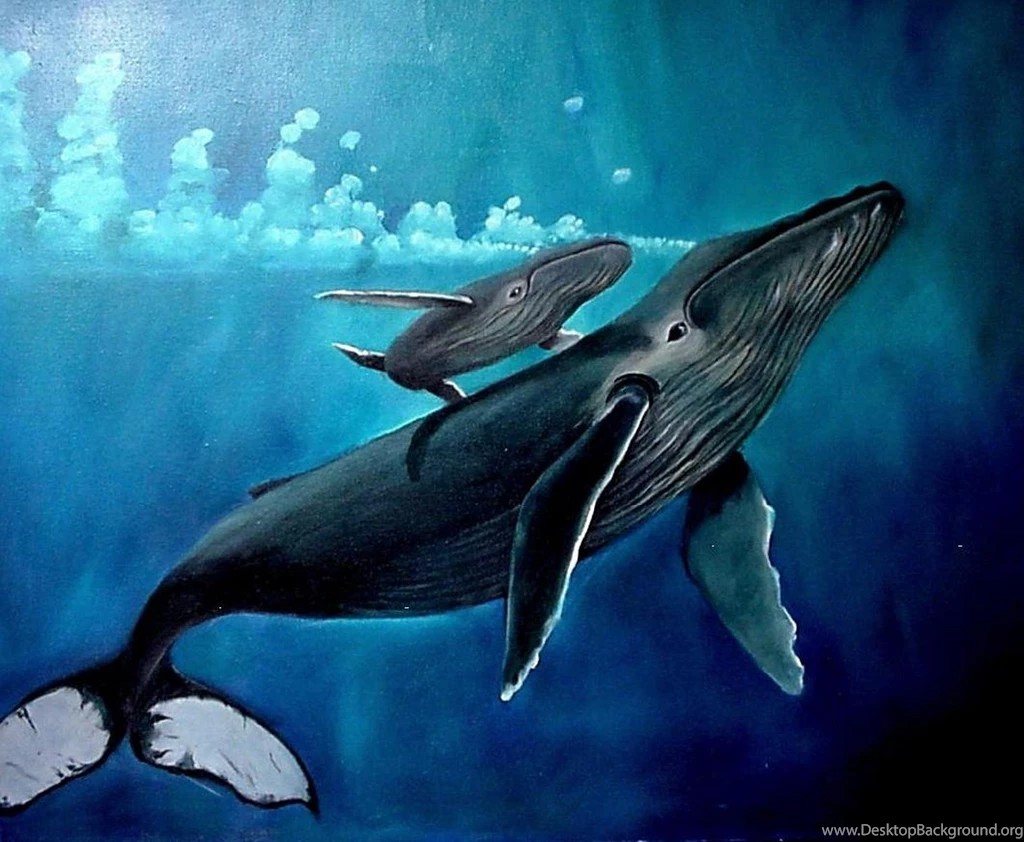 Download Whale Wallpaper.jpg