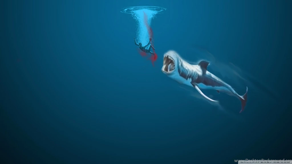 Download Children Whale Wallpapers 1680x1050