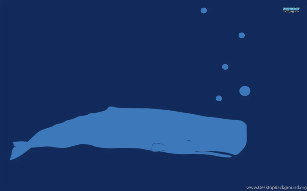 Blue Whale Wallpapers Minimalistic Wallpapers