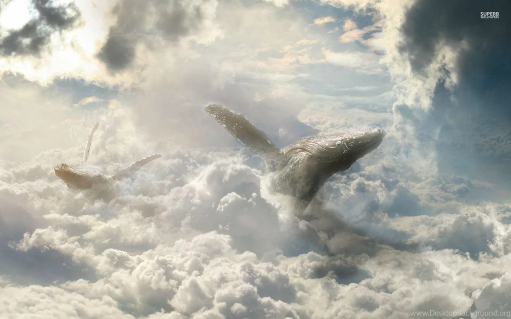Whales Flying In The Clouds Wallpapers Fantasy Wallpapers