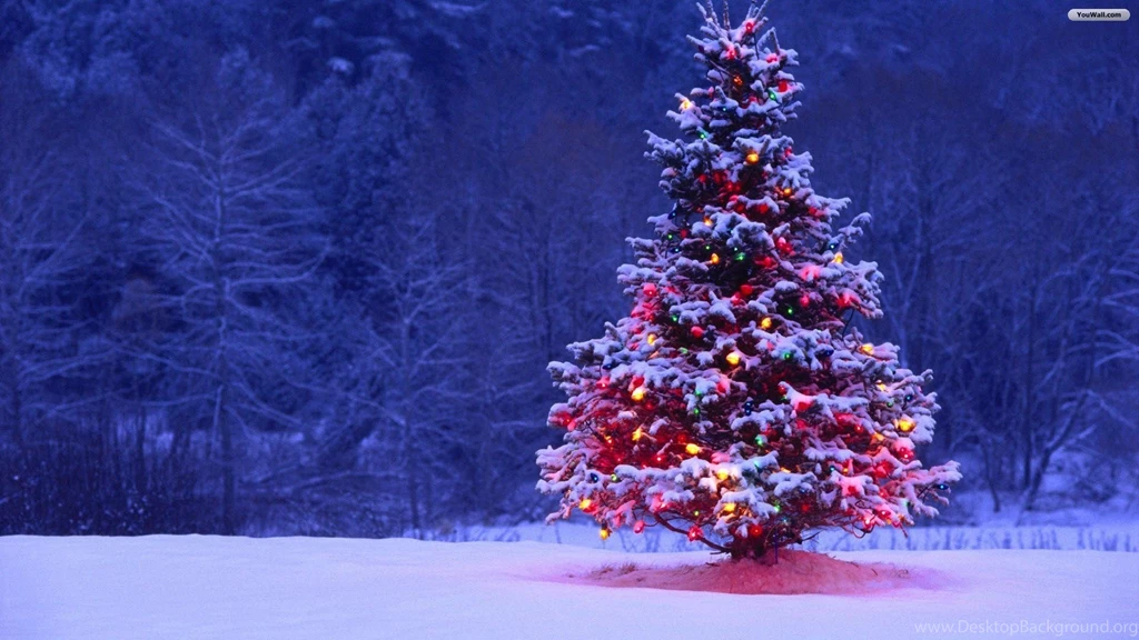 Christmas Tree S Wallpapers