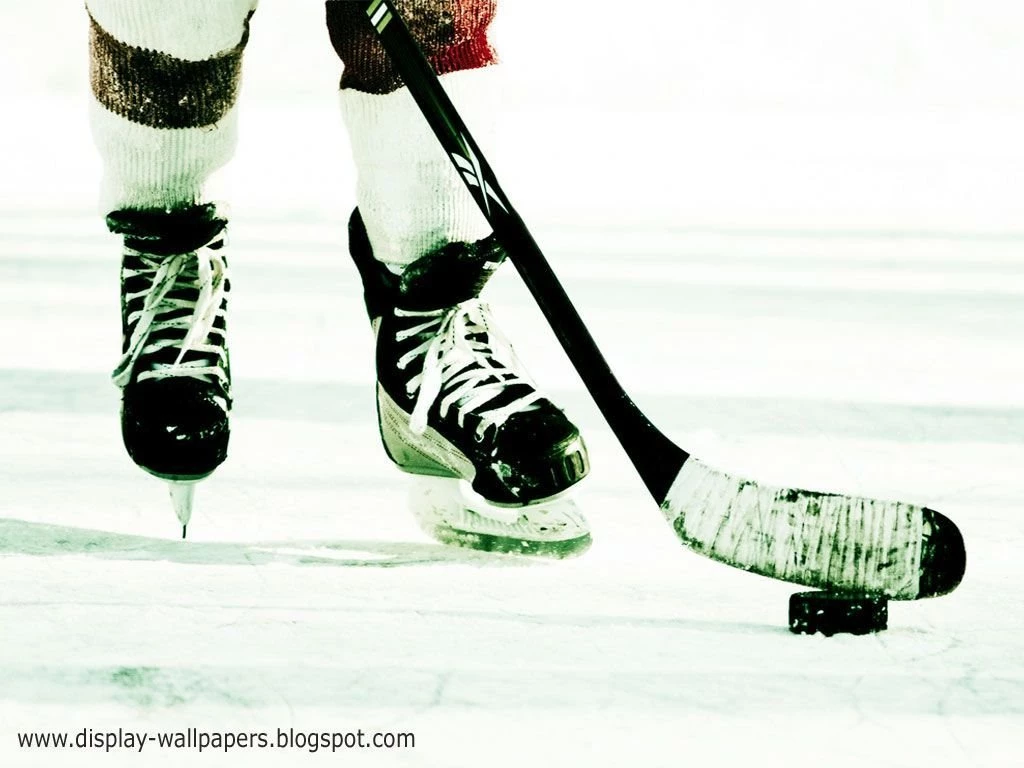 Animation Wall: Ice Hockey Desktop Wallpapers