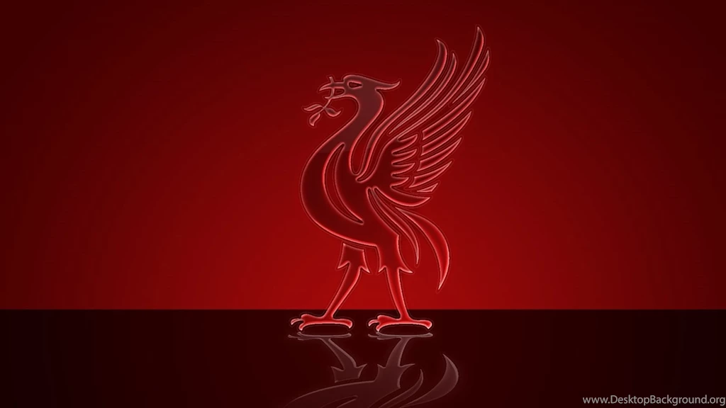 Liverpool Bird 1600×900 Liverpool Wallpapers In Football Style ...