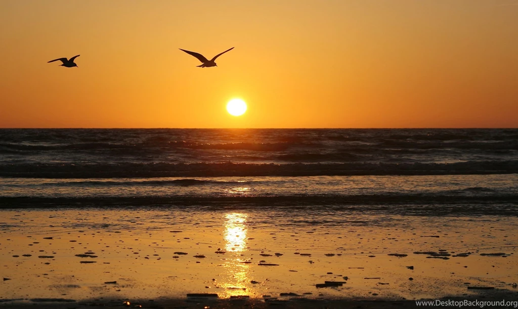 Sunrise Backgrounds Sunrise Wallpapers Free
