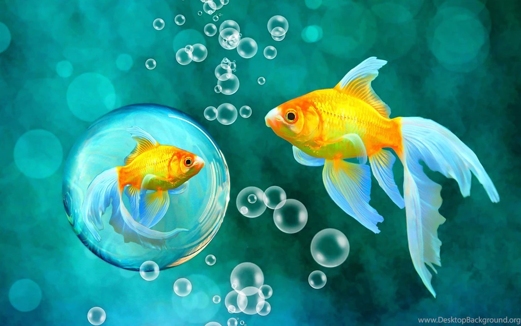 Bubbles Goldfish Blue Bokeh Sea Fish Fishes Underwater Water Gold ...