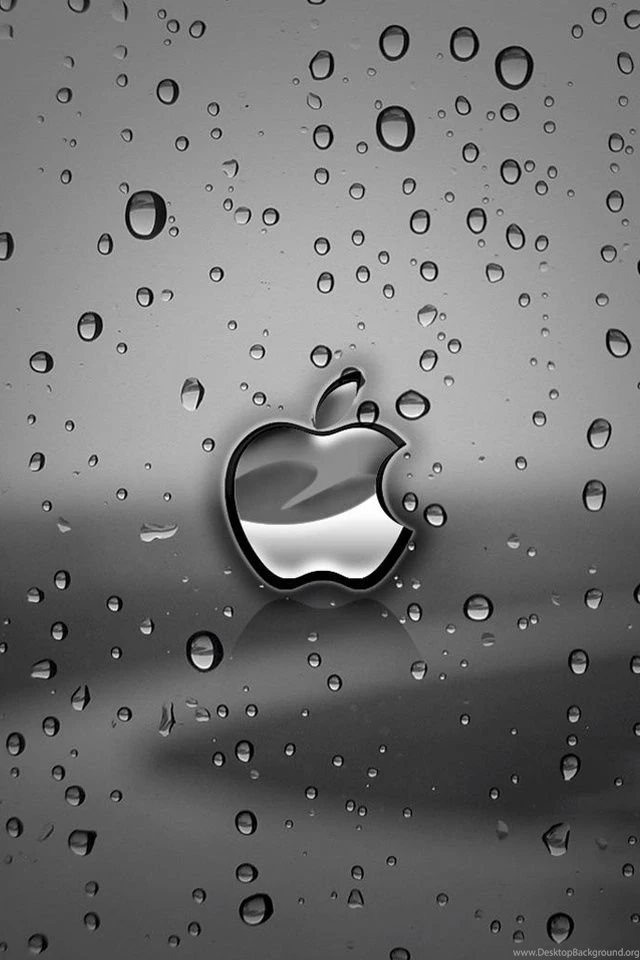 IPhone W 3.jpg