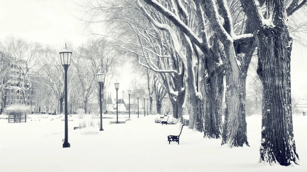 Snowy Park HD Desktop Wallpapers : High Definition : Fullscreen ...