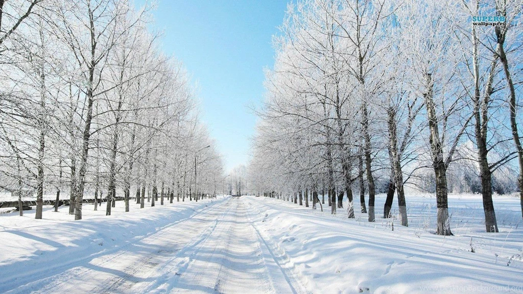 Snowy Wallpapers