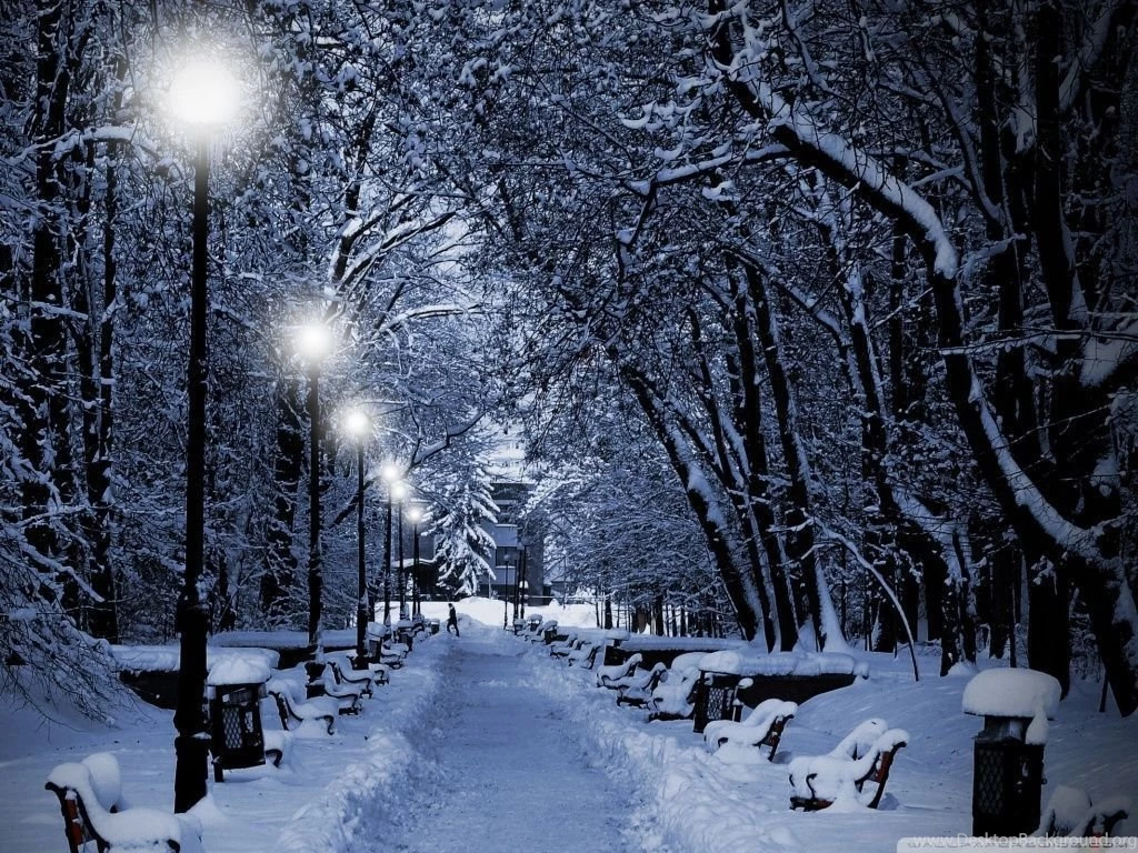 Snowy Park At Night HD Desktop Wallpapers : High Definition ...