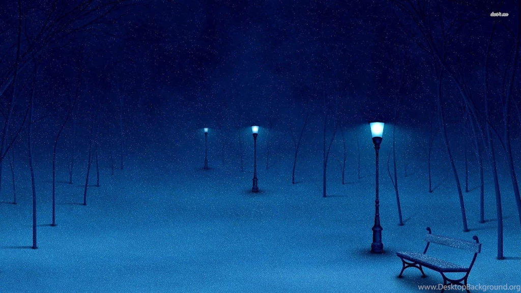 Winter Night Snowy HD Images Wallpapers 3992   HD Wallpapers Site