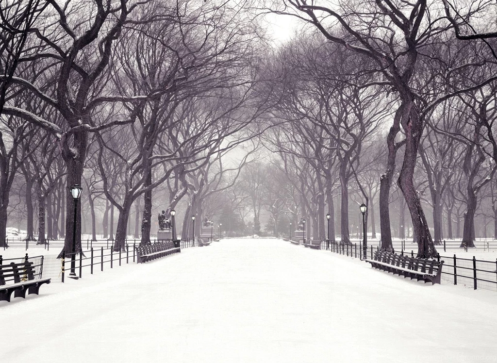 Snowy Central Park Wallpapers, Snowy Central Park Myspace ...