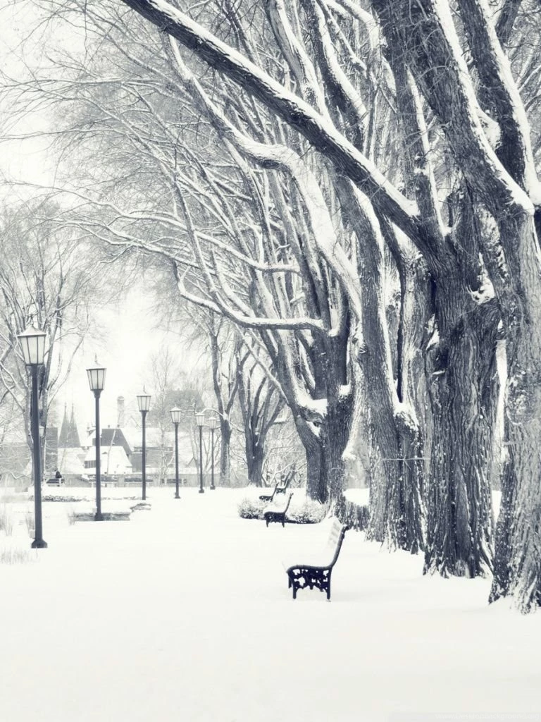 Snowy Park HD Desktop Wallpapers : High Definition : Fullscreen ...