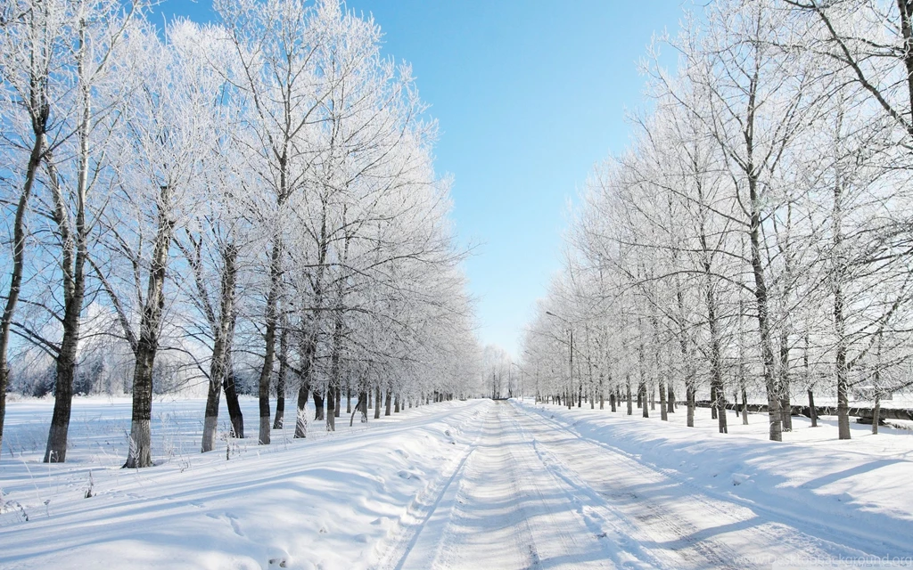 Seasons Archives Page 2 Of 17 Free Wallpapers Full Hd 1080p ...