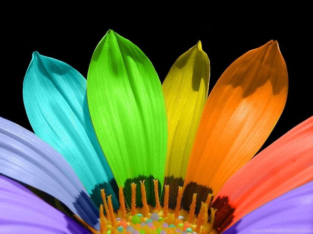 Rainbow Wallpapers