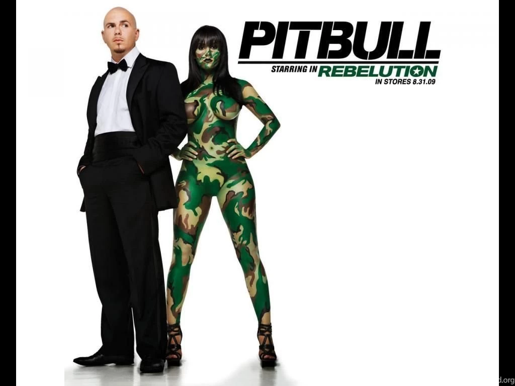 Pitbull_Nazanin Pitbull (rapper) Wallpapers (29743734) Fanpop