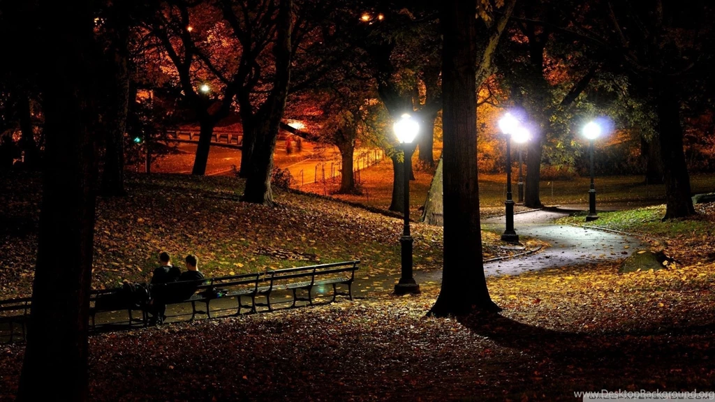 Download Park At Night Wallpapers 1920x1080