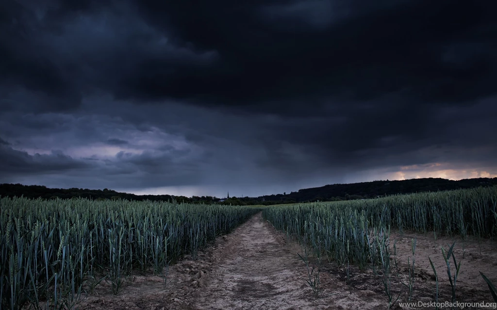 Gloomy View Of The Field HD Desktop Wallpapers