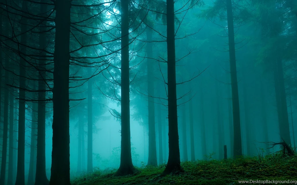 2560x1600 Wood Wallpapers HD, Desktop Backgrounds 2560x1600 ...
