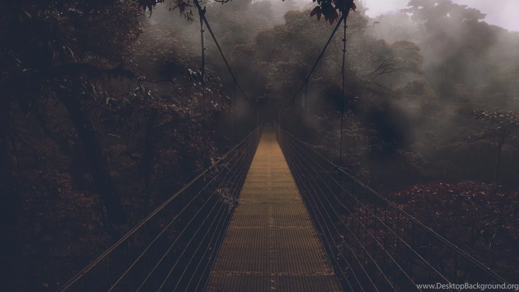 Bridge In A Gloomy Forest Wallpapers And Images Wallpapers ...