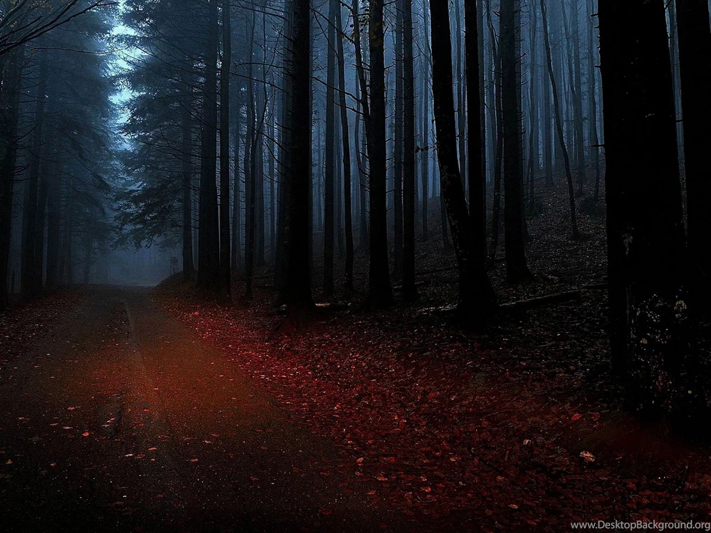 Dark Wood, Shrouded In Darkness Fabulous On Gloomy Wallpapers ...