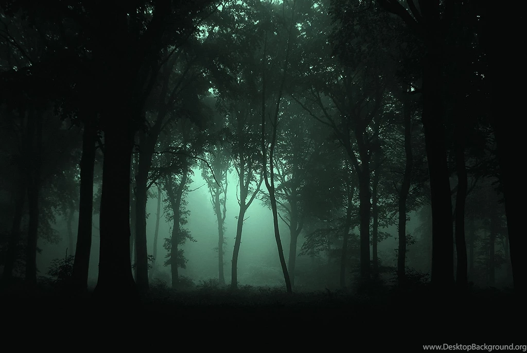 Dark Forest Wallpapers Free