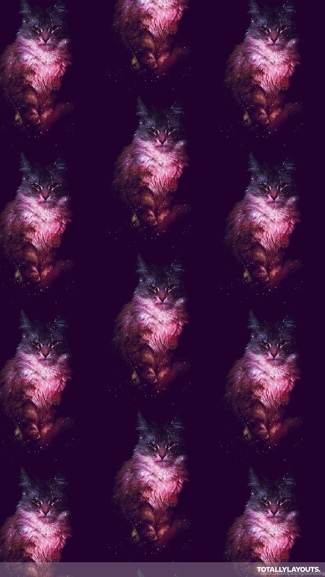 Galaxy Nebula Cat iPhone Wallpapers Hipster Wallpapers