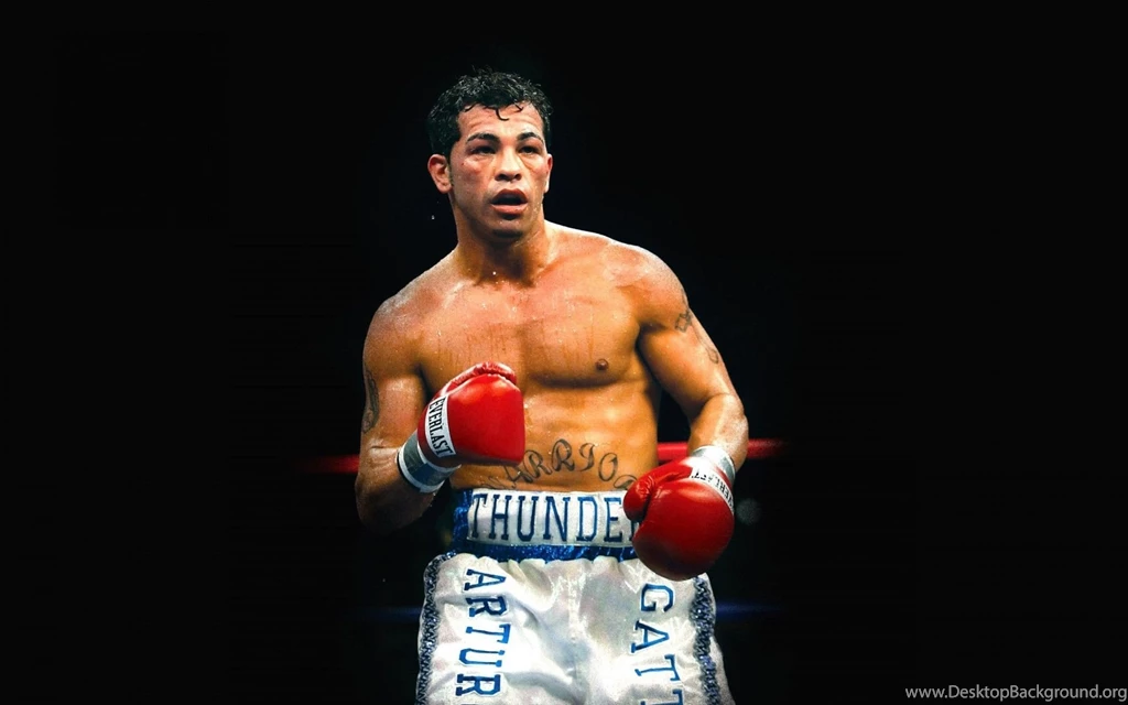 Arturo Gatti Boxing Wallpapers