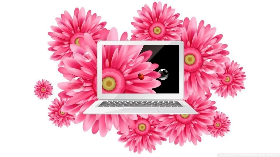 Laptop 3 HD Desktop Wallpapers : Widescreen : High Definition ...
