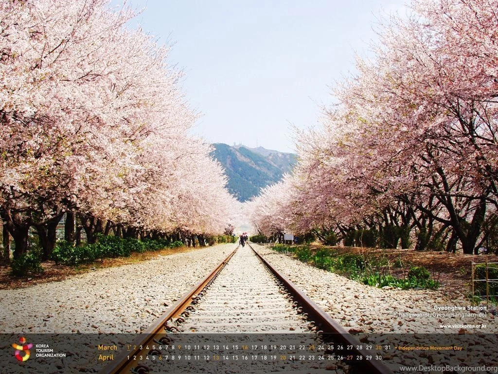 Official Site Of Korea Tourism Org.: Wallpaper_2014