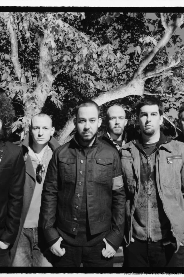 Download Linkin Park Near The Tree Wallpapers For iPhone 4