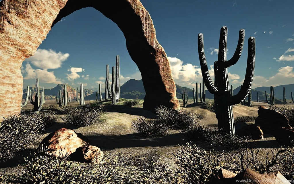 Cactus Wallpapers