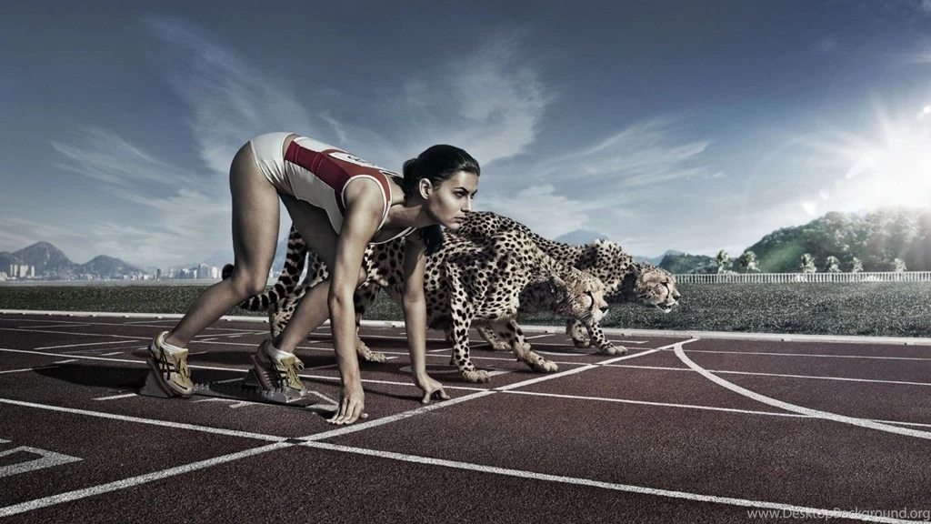 Race, Cheetah, Speed, Sports