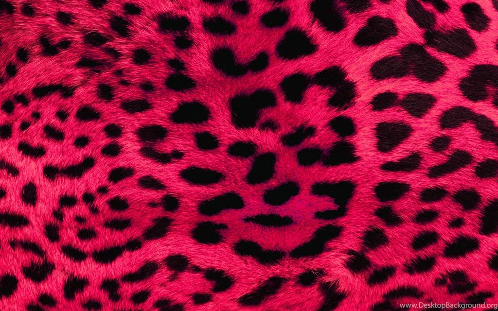 Pictures Of Cheetah Print Wallpapers