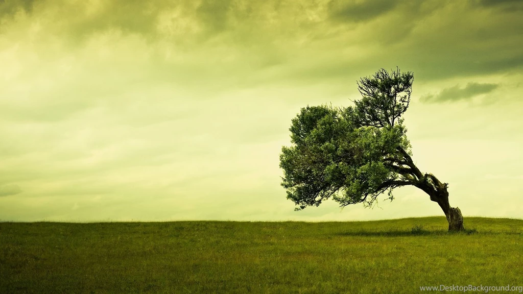 Most Beautiful Landscape HD Wallpapers   TechBlogStop