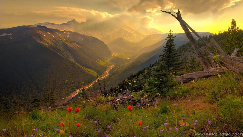 Most Beautiful Landscape HD Wallpapers   TechBlogStop