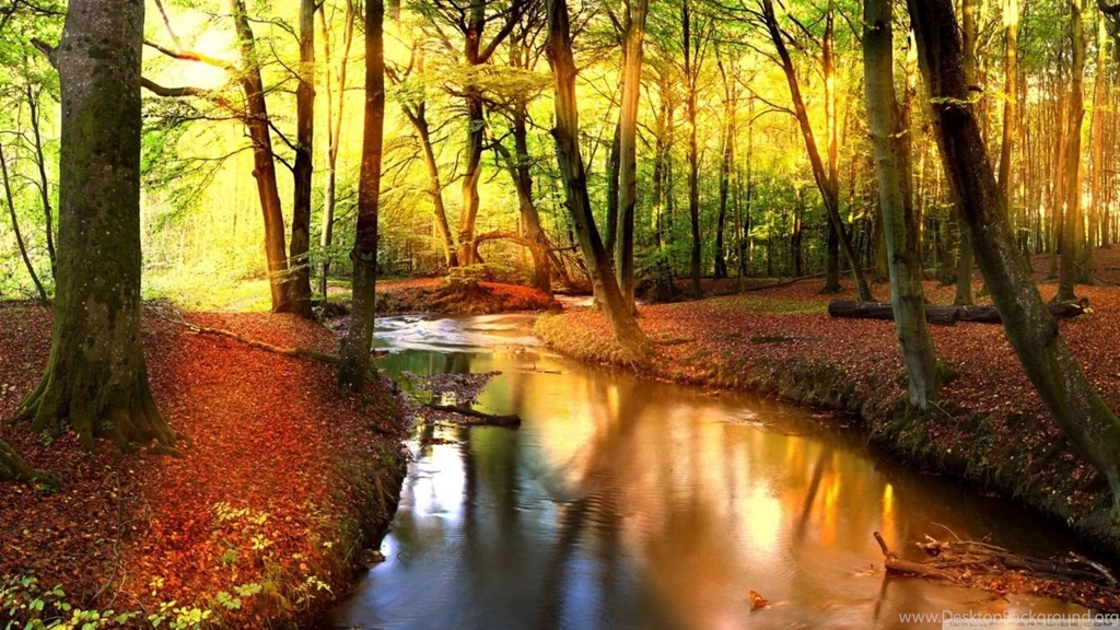 Impressive Autumn Landscape HD Desktop Wallpapers : High Definition ...