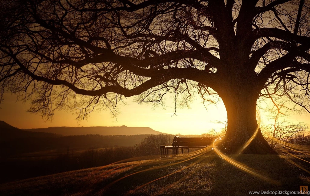 Beautiful Landscape Wallpapers