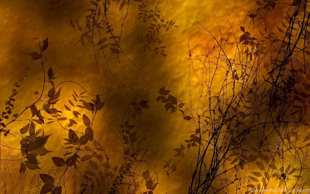 Desktop Wallpapers · Gallery · Computers · Golden Dusk
