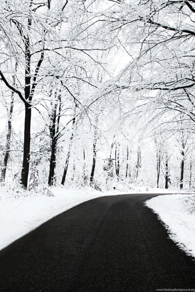 Natural_Wallpaper_for_iPhone_Backgrounds_iPhone_5_Pictures_Wallpapers_and_Backgrounds 14.jpg