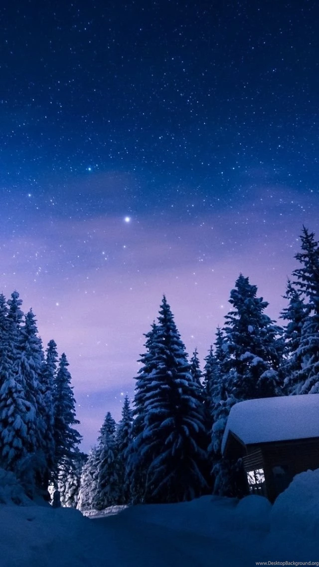 640x1136 Stars Night Snow Forest House Iphone 5 Wallpapers Desktop