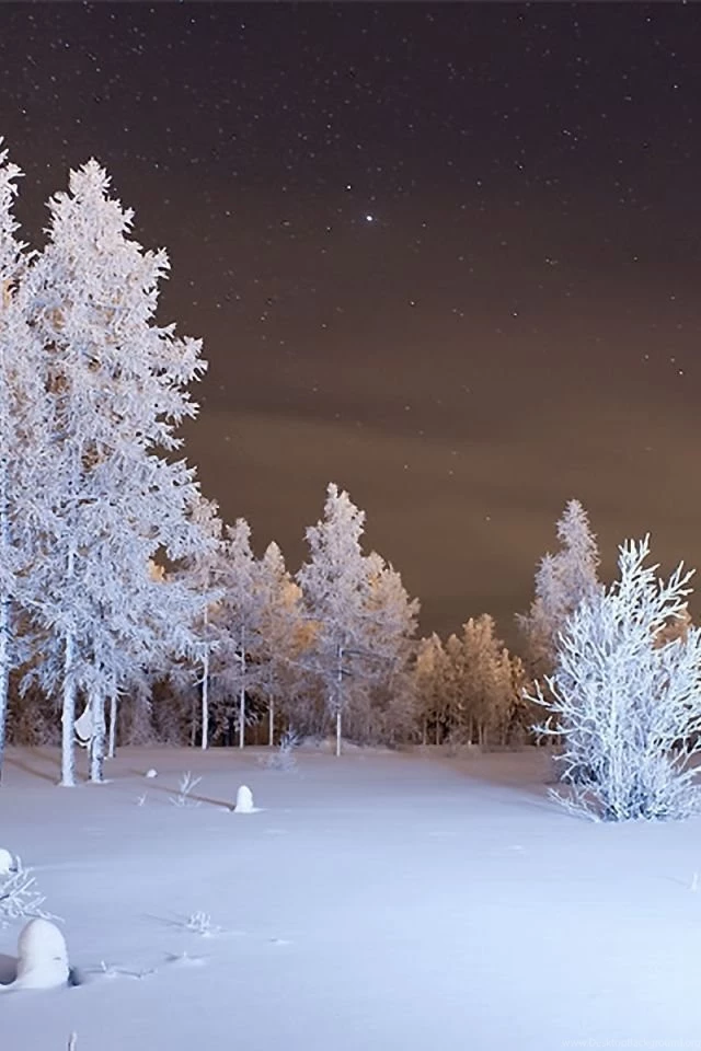 iPhone 4S, 4 Winter Wallpapers HD, Desktop Backgrounds 640x960 ...