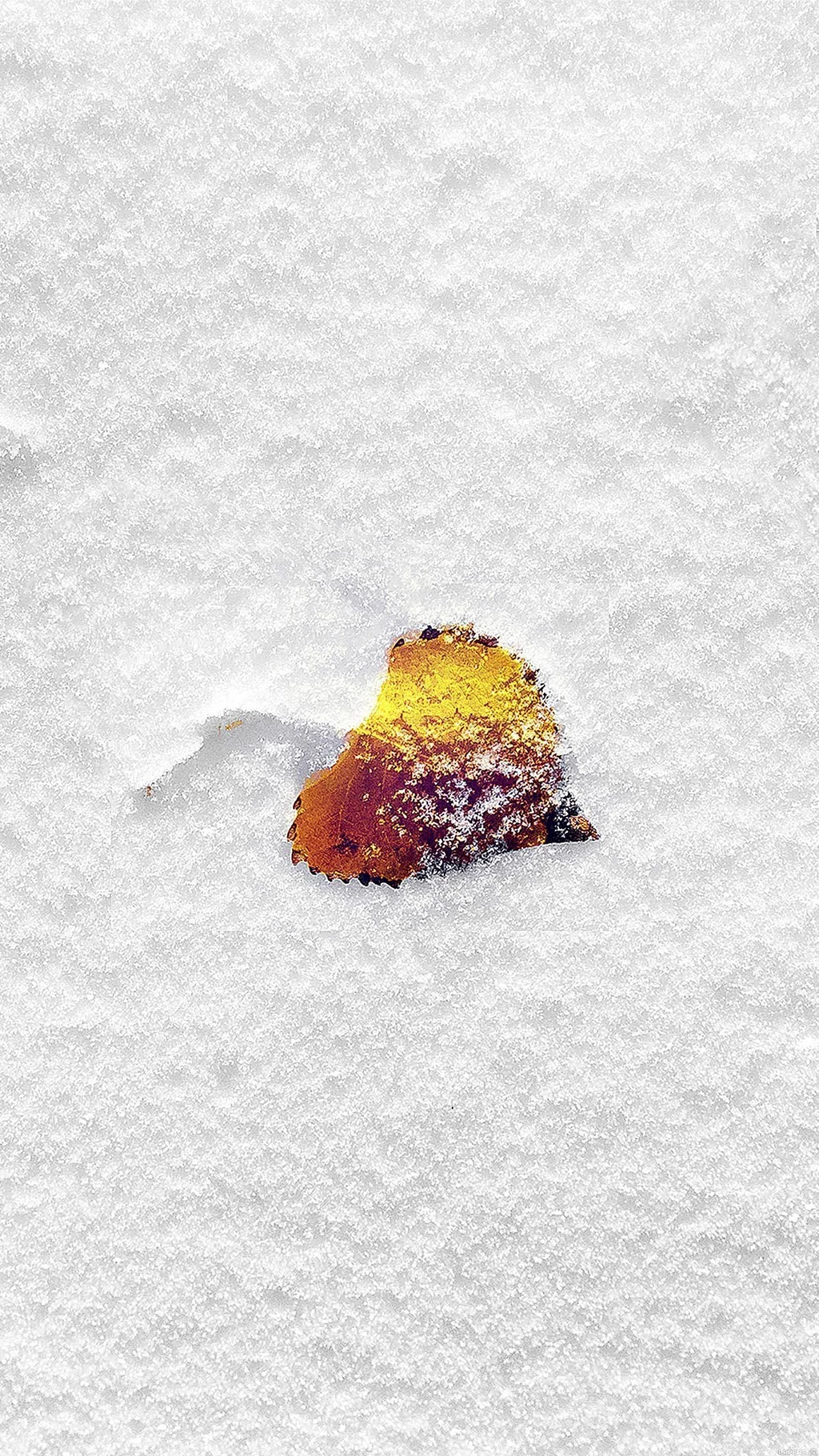 Wallpaper boo 201 snow leaf 34 iphone6 plus wallpaper.jpg