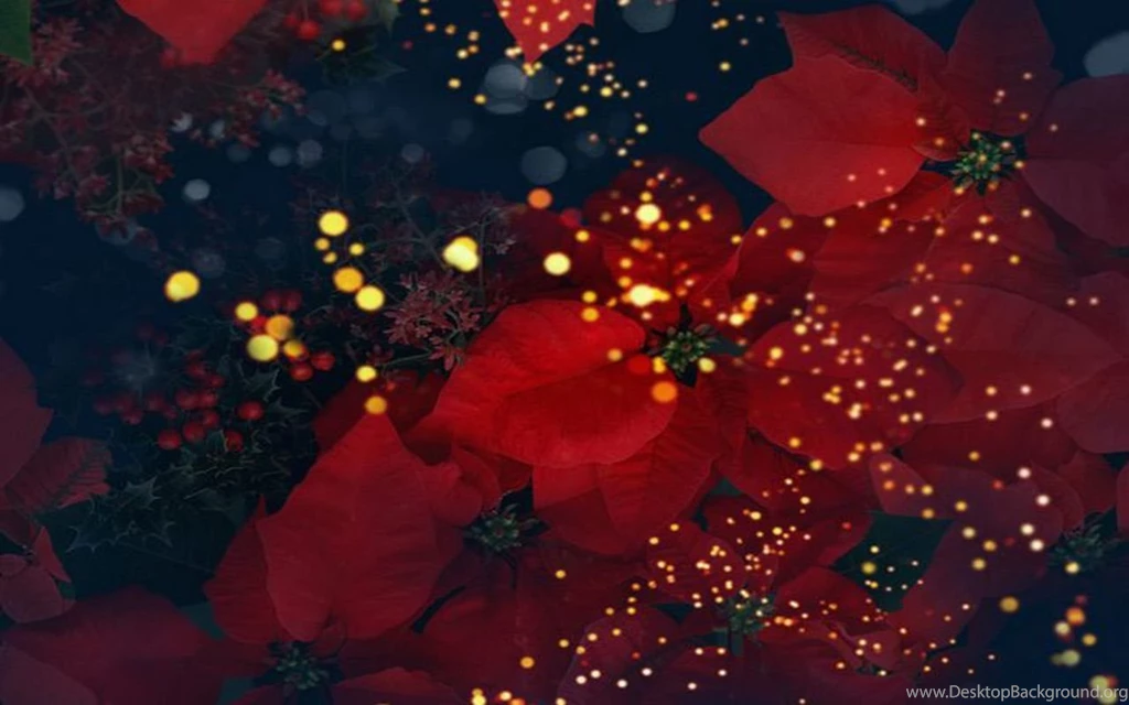 Download Free Wallpapers For Laptop Widescreen HD Wallpapers