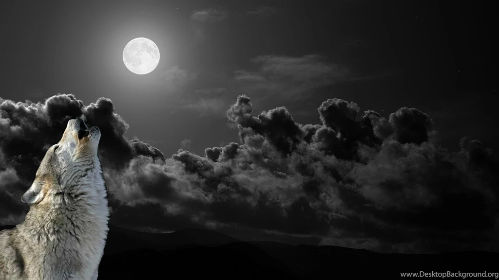 Wolf Computer Wallpapers, Desktop Backgrounds