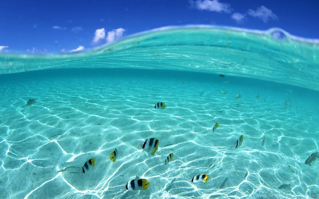 Wave Computer Wallpapers, Desktop Backgrounds