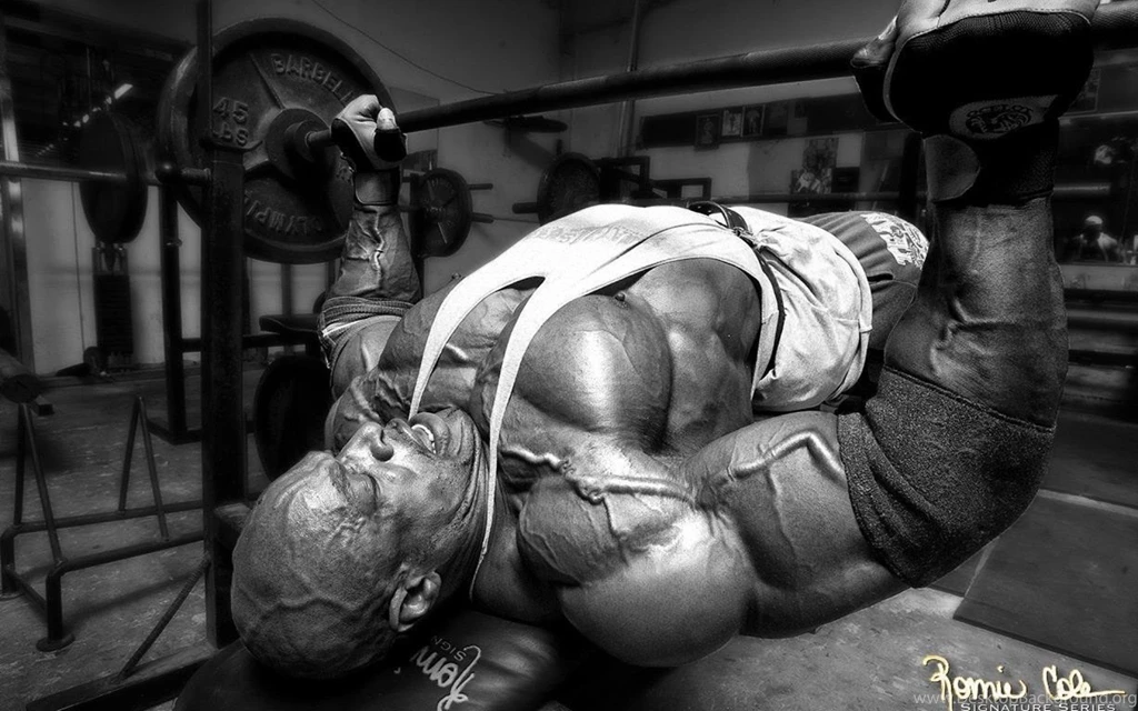 Fitness Wallpapers