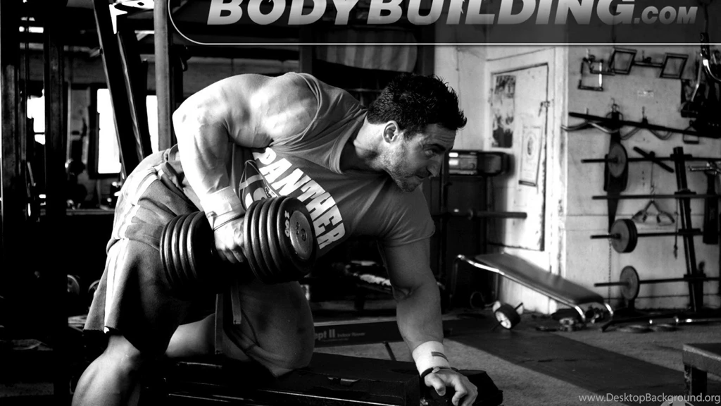 Gym Body Building Sport Man Muscle HD Wallpapers Wallpapers ...