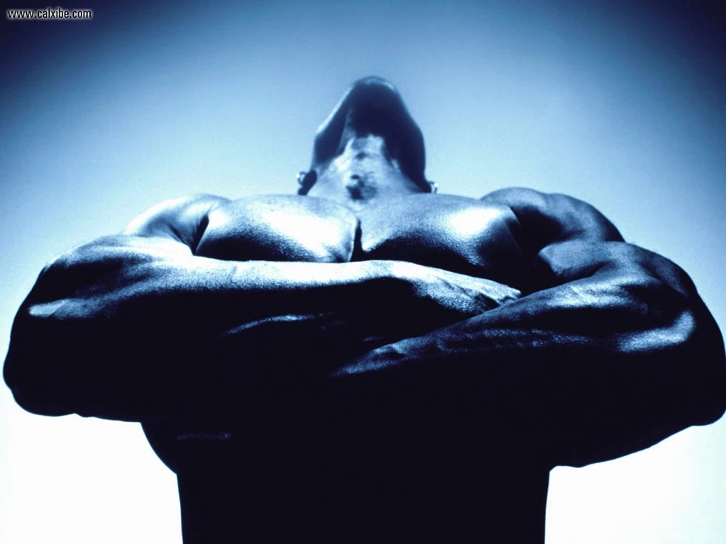 Male Celebrities: Maximum Muscle, Picture Nr. 18548